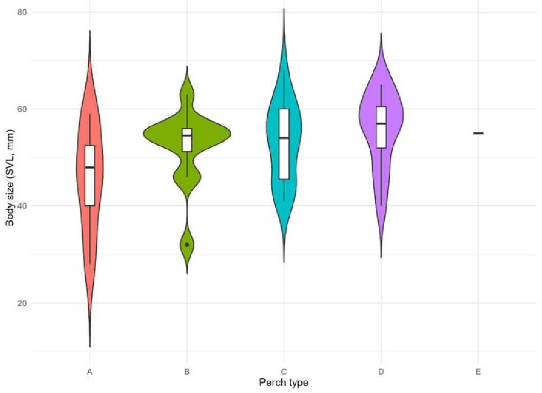 Distribution of lizard’s body size (SVL) on each perch type selected.