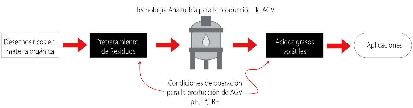 Esquema del proceso de conversión de residuos agroindustriales en ácidos grasos volátiles (AGV).