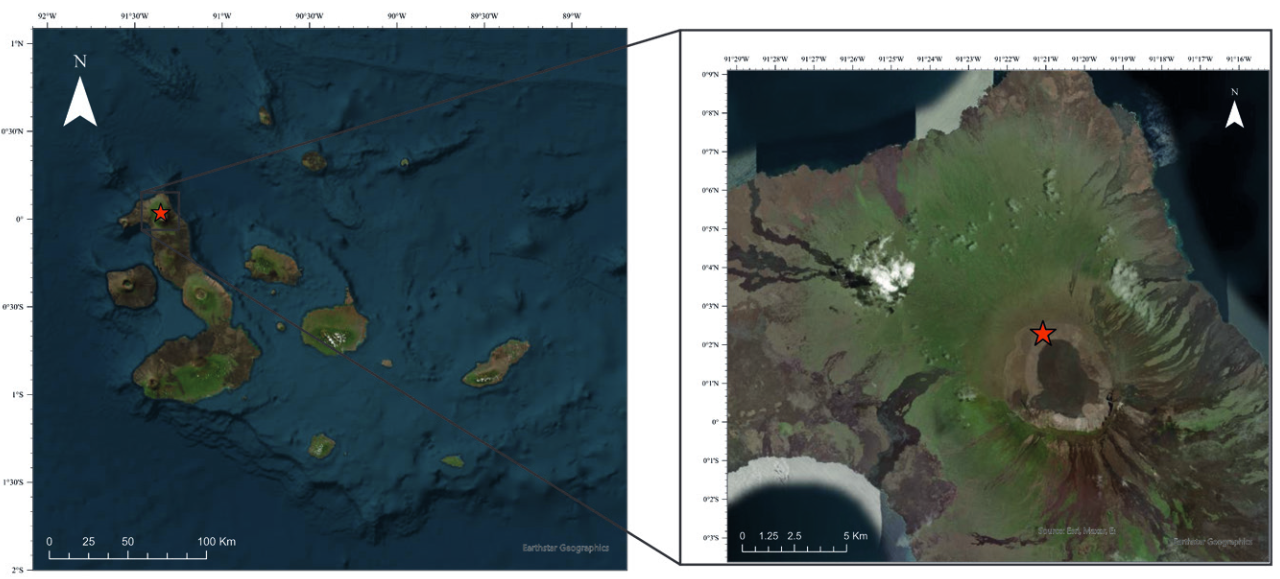 Map of the Galapagos Islands, Ecuador, with zoom in to Wolf Volcano, Isabela Island. Red star represents the location where first record of a Galapagos Hawk Buteo galapagoensis preying upon a feral cat Felis catus was taken by a camera trap.
