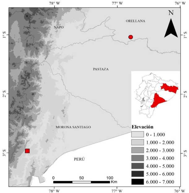 Figura 1