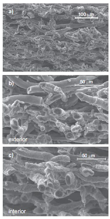 Micrograf&iacute;as con
SEM de las cer&aacute;micas biom&oacute;rficas de Si/SiC obtenidas con el sistema MTS/H2. a) vista amplia , b) extre- mo exterior, c) centro de la prueba