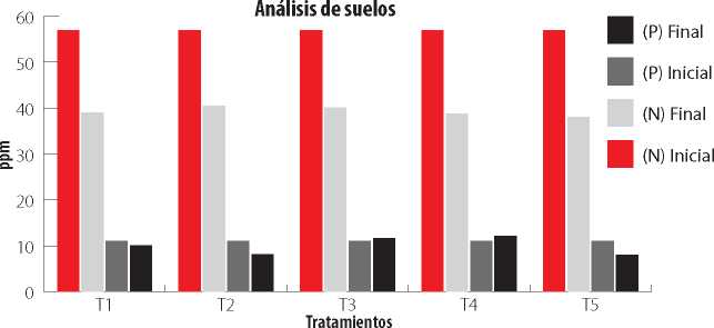 An&aacute;lisis qu&iacute;mico de N y P
presente en el suelo antes de la siembra y a la cosecha de 
una variedad de ma&iacute;z inoculado con biofertilizantes. 

 