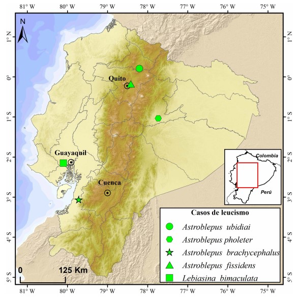 Figura 1
