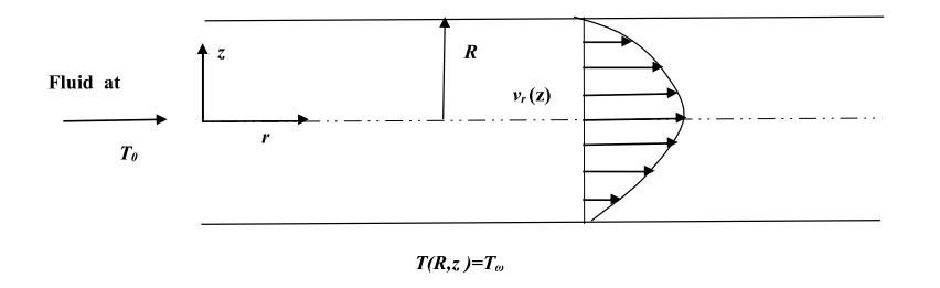Fig 1.