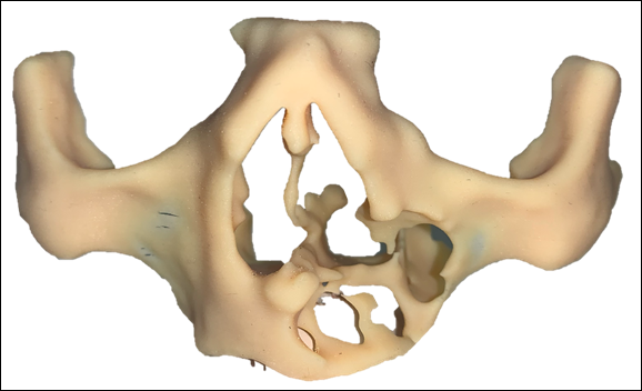 Fig. 2 