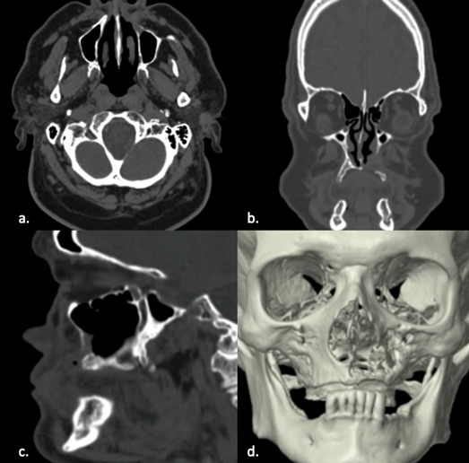 Fig. 5 