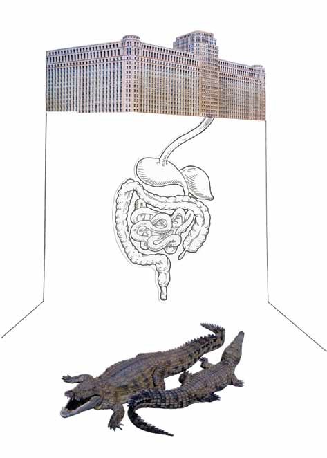 Echeverr&iacute;a, C. (2013) [collage]