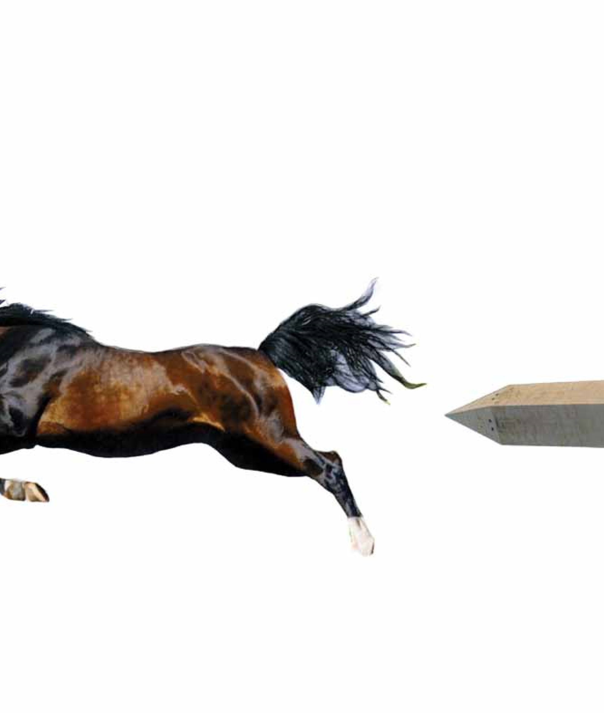 Echeverr&iacute;a, C. (2013) [collage]