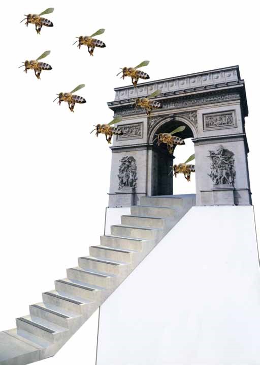 Echeverr&iacute;a, C. (2013) [collage]