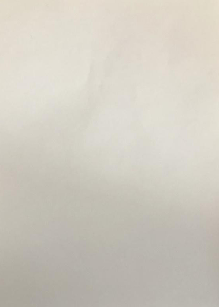 Figura 2. Texturas (Pablo Aguirre) a Jessica. Vista del anverso de la hoja. Cortes&iacute;a del artista.