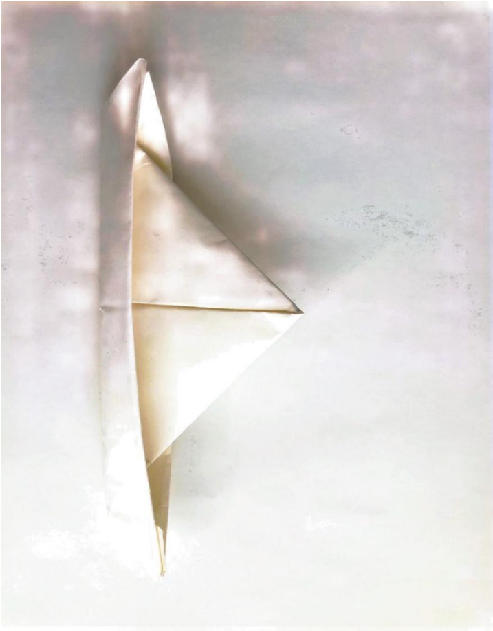 Figura 7. Texturas (Luis Castro) a Pablo. Vista de la textura mediante una hoja. Cortes&iacute;a del artista.