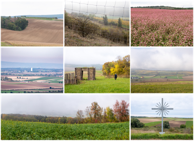 Figura 2. Campos de cultivo en el Weinviertel de Europa Central, sitio de origen de la cultura LBK. &copy;Fernando Martín Velazco, 2022.