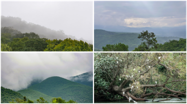 Figura 3. Paisajes de la región Huasteca (centro y noreste de México). &copy;Fernando Martín Velazco, 2019-2021.