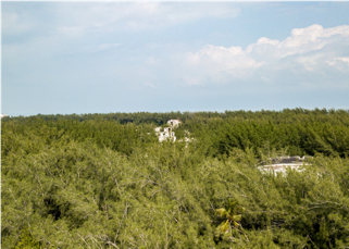Figura 7. Ruinas circulares en Ciudad Madero, Tamaulipas, frente al Golfo de México. &copy;Fernando Martín Velazco, 2021.
