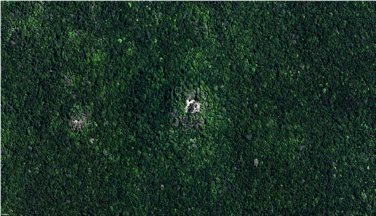 Figura 10. Conversación con ChatGPT 4.0 sobre el término de teleología en sistemas cibernéticos, 2024. https://chatgpt. com/share/4fb543b0-5b0a-4f3b-be2f-512d5d1946c7