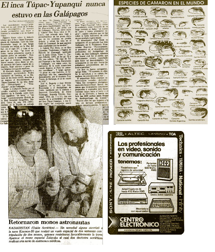 Fragmentos de peri&oacute;dicos locales y regionales que constituyen parte del archivo hist&oacute;rico y documental del Componente 1.