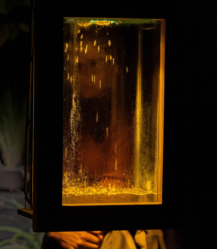 Estaci&oacute;n de precipitaci&oacute;n, obra CLIMA. Foto: Ana Lu Zapata FTNS, 2024.