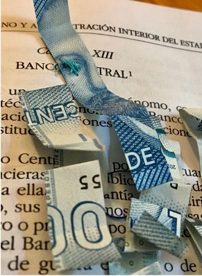 Detalle del cap&iacute;tulo sobre el Banco Central.