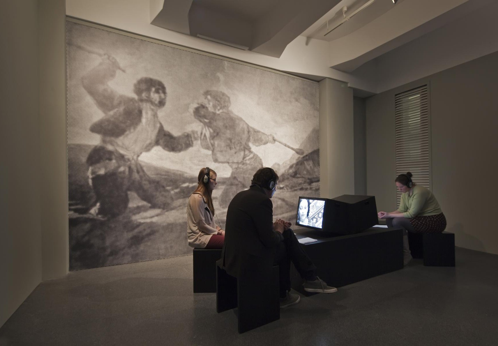 Instalaci&oacute;n de video Non-Human Rights, 2012.