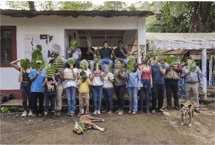 Cara planta. Programa público Topote de Acahual 1.0. Tebanca, Veracruz, 2021.