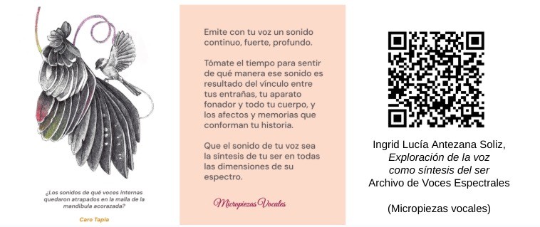 Código 3. Tarjeta de instrucción ilustrativa del rubro «Micropiezas vocales».