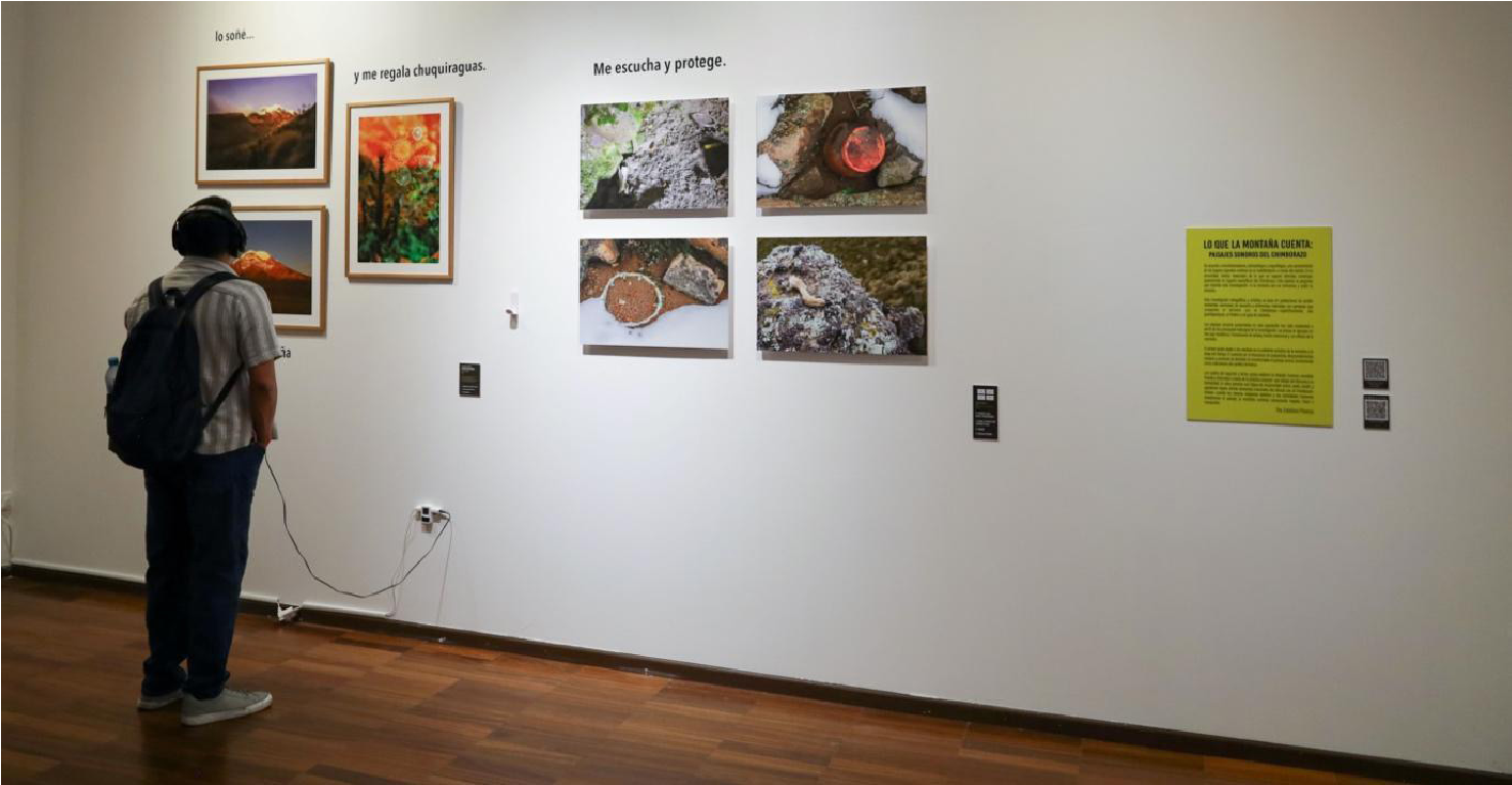 Primer y segundo grupo de fotografías en exposición.