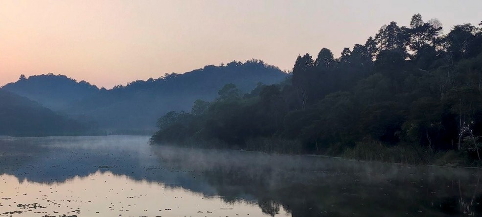 Paisaje de la laguna al amanecer. El Sol avanza por el este a la izquierda, y a la derecha se puede apreciar un grupo de garzas blancas en las ramas de un árbol que se inclina sobre el agua. Si llevas tu cámara fotográfica, las vistas te provocan detenerte a cada rato y el tiempo de tu paseo se duplica o triplica.