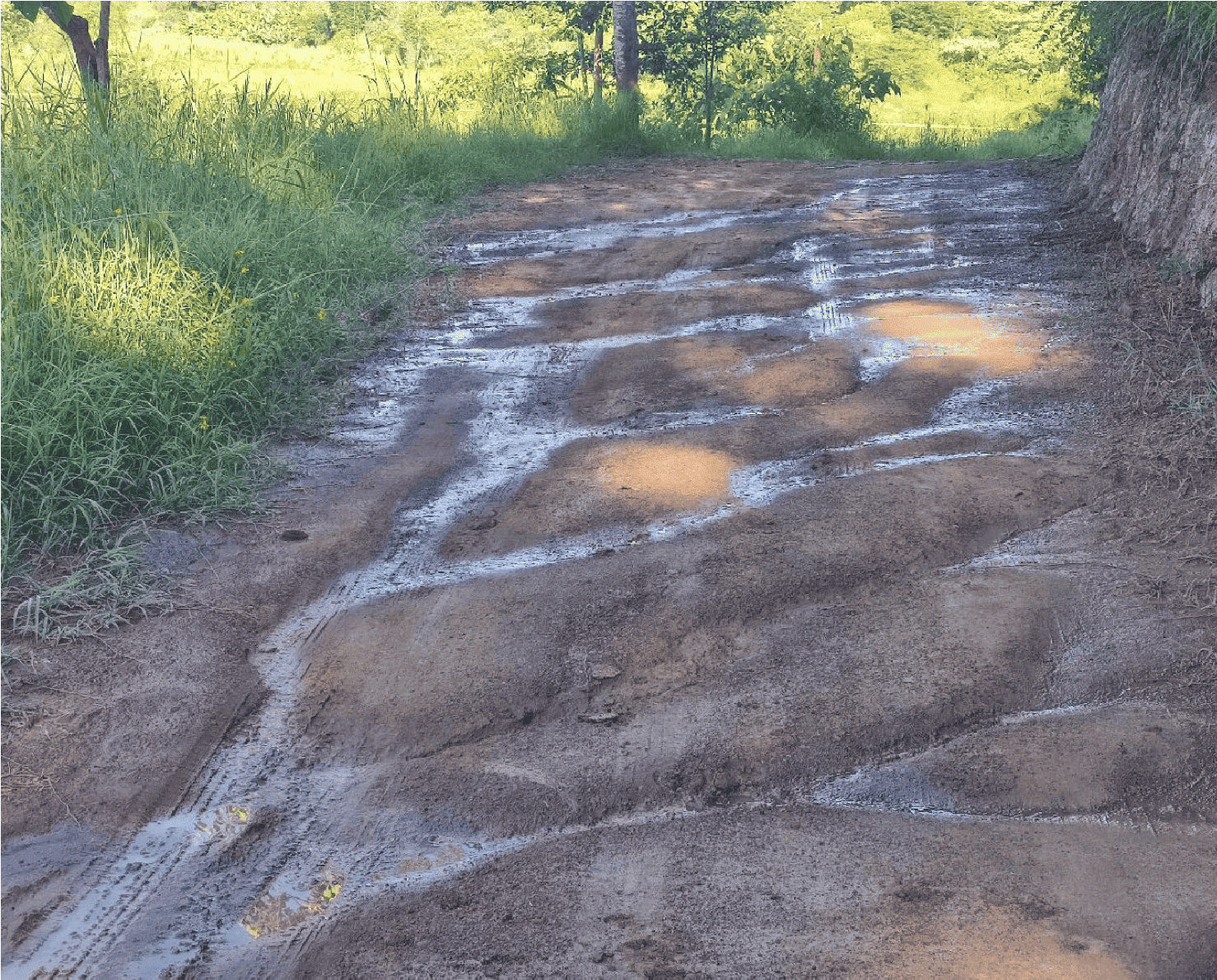 Escurrimientos que cruzan el camino. A la derecha se aprecia la ladera que ha sido cortada en vertical para hacer la sección horizontal de la brecha. Los escurrimientos producen encharcamientos, y el agua sigue su camino hacia abajo para finalmente encontrarse con el espejo de agua.