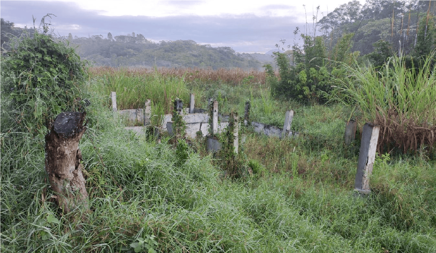 Edificación abandonada e invadida por la vegetación. Al pie del camino, entre pasto y enredaderas que han llegado a okuparla, se descubre una construcción en ruinas que no se levantó más allá de sus pilares, quizás como estructura para sostener una techumbre de teja o de lámina. Extrañamente, se asienta sobre una zona pantanosa inundable: ¿alguna falta de previsión o de información por parte de sus constructores?