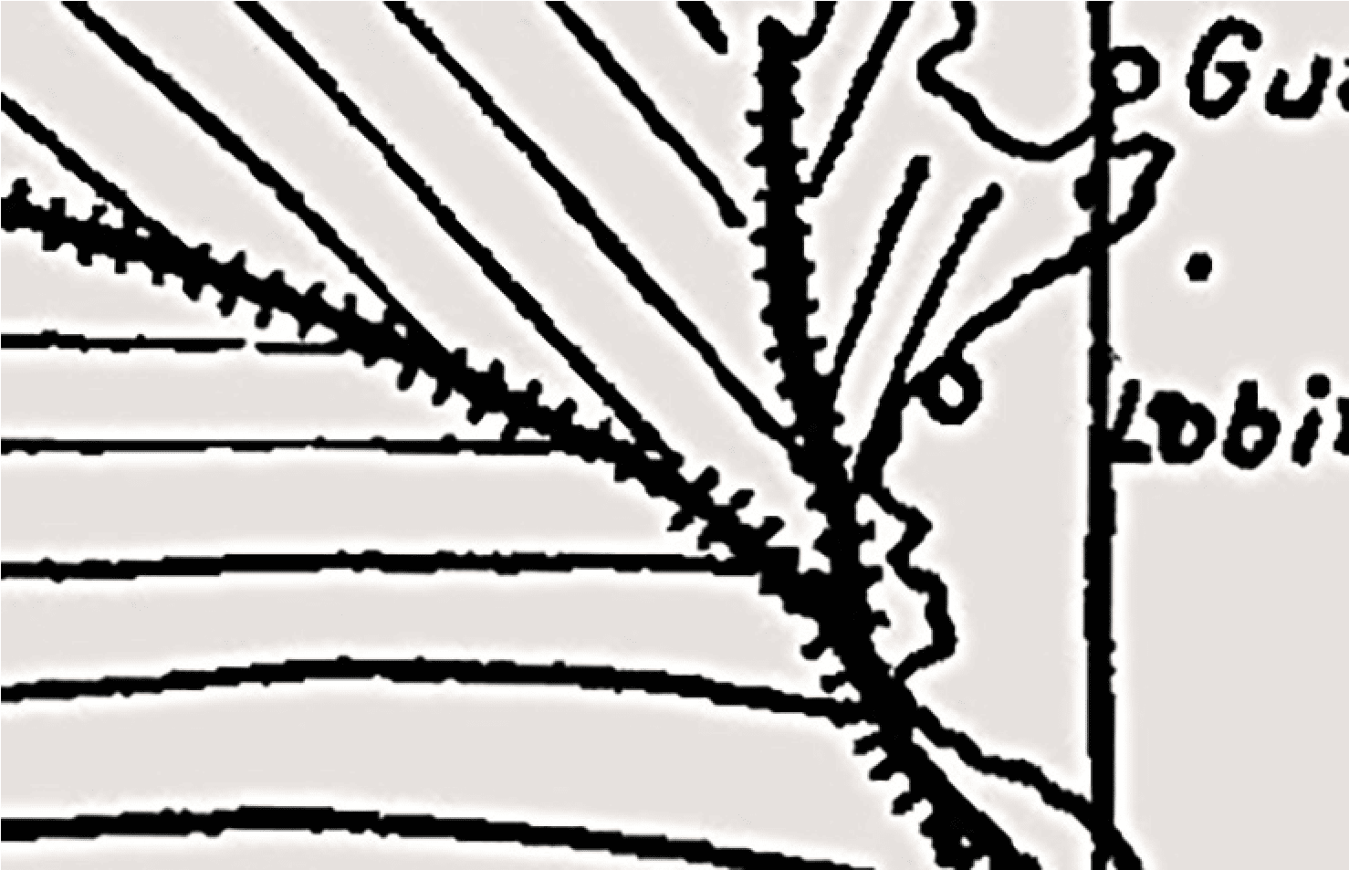 Detalle de la figura 16.