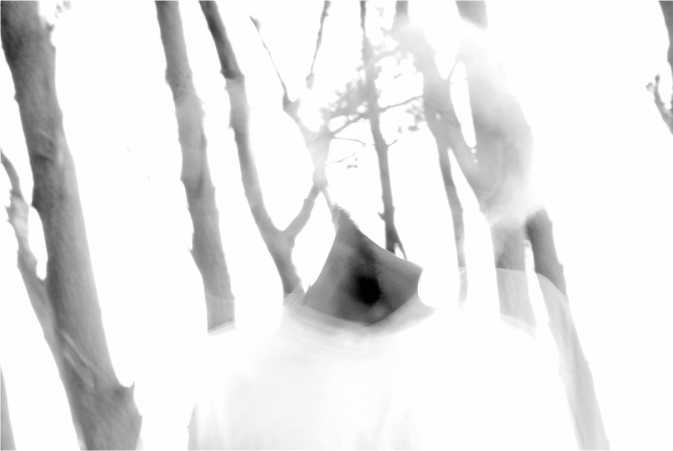 Figura 5.