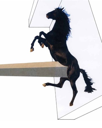 Echeverr&iacute;a, C. (2013) [collage]