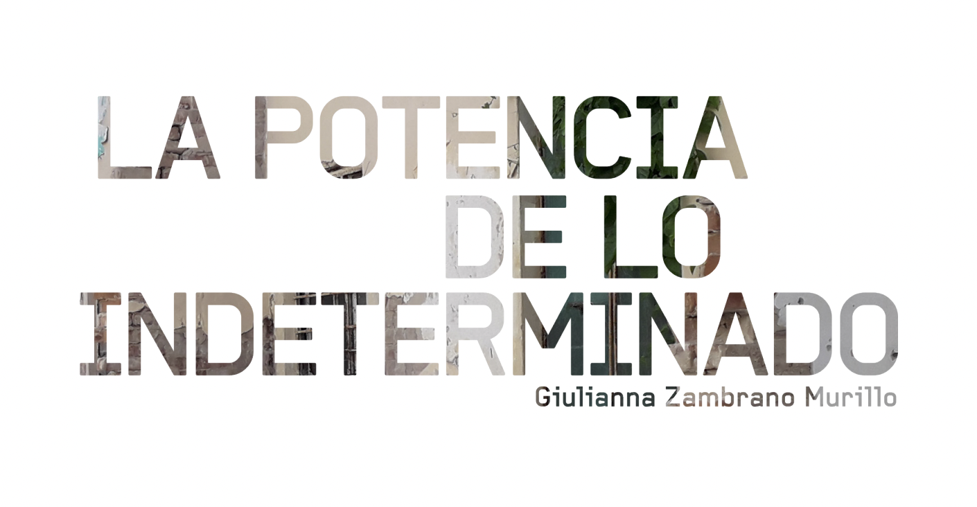 Portada de ensayo: La potencia de lo indeterminado