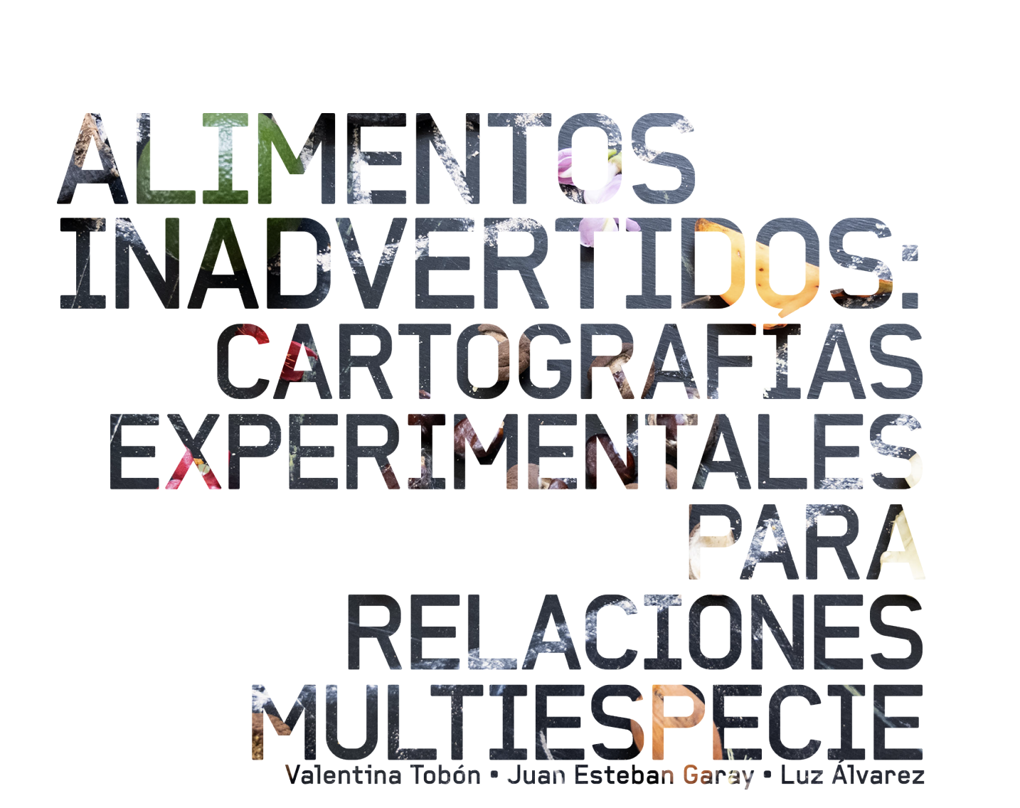 Imagen de portada