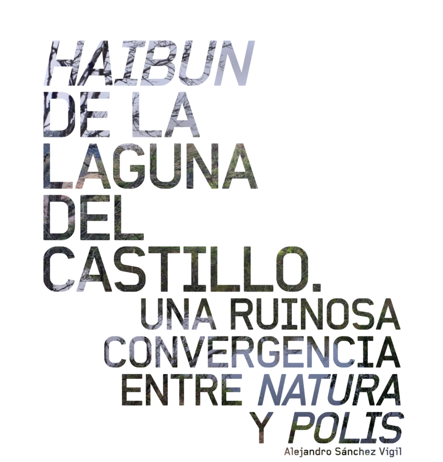 Imagen de portada