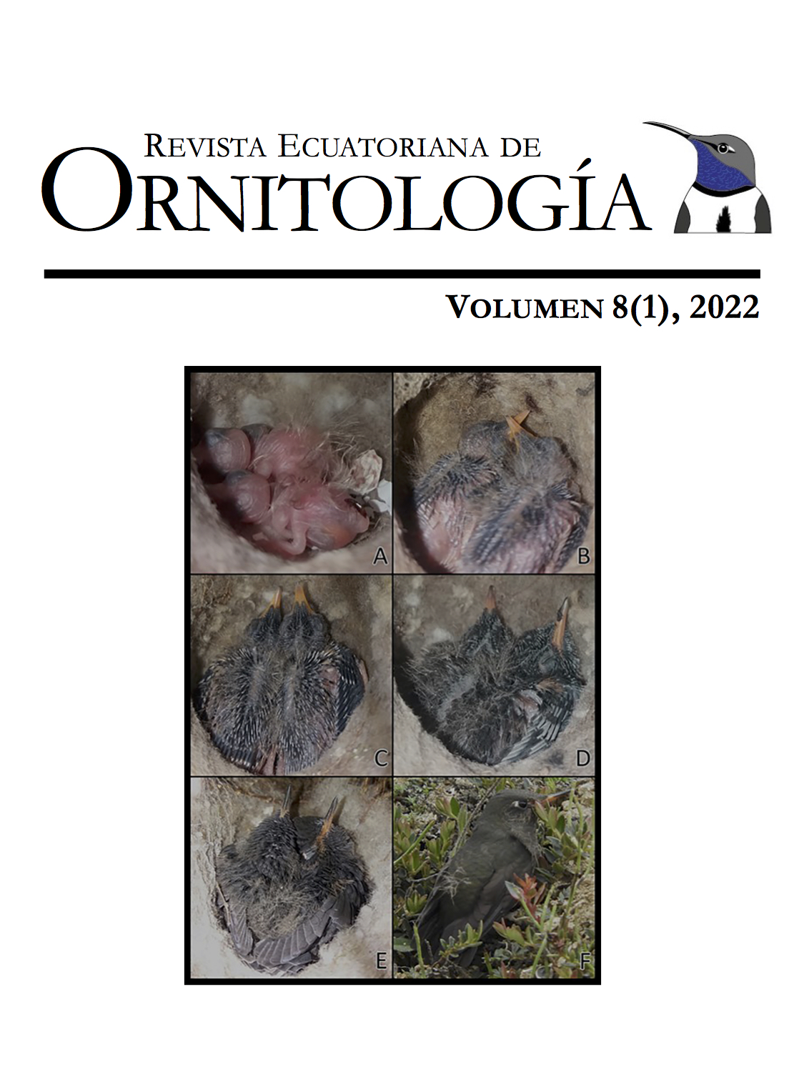 					Ver Vol. 8 Núm. 1 (2022): Revista Ecuatoriana de Ornitología
				